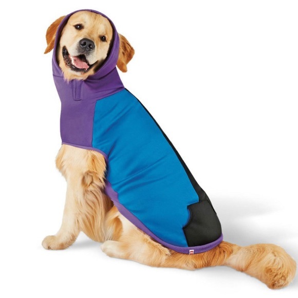 Target Dog Nwt Target Color Block Hooded Sweatshirt By Legos Poshmark